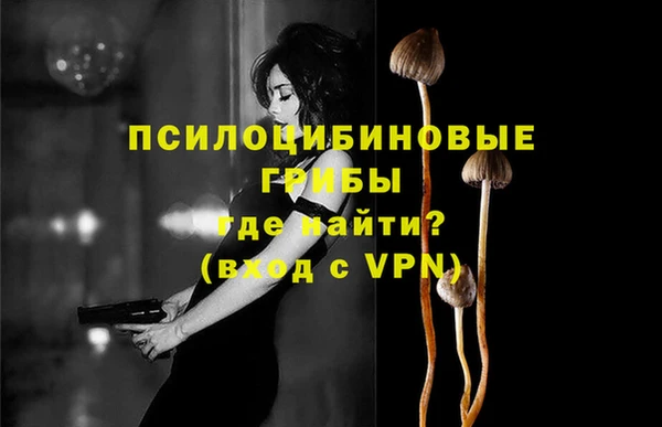 ешки Вязьма