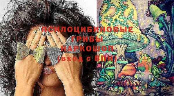 COCAINE Вяземский